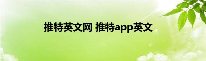 推特英文网 推特app英文