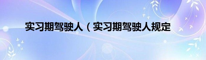 实习期驾驶人（实习期驾驶人规定