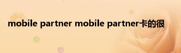 mobile partner mobile partner卡的很