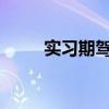 实习期驾驶人（实习期驾驶人规定