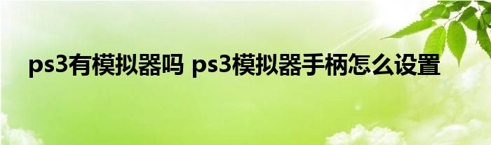 ps3有模拟器吗 ps3模拟器手柄怎么设置