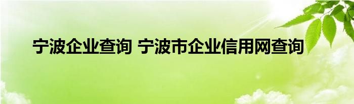 宁波企业查询 宁波市企业信用网查询