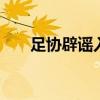 足协辟谣入籍名额 足协公布准入名单