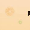 雨小薇 雨小薇记者