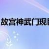 故宫神武门现巨型御猫（故宫巨型御猫在哪里