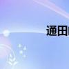通田阁萝图片（通田阁萝）