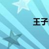 王子白（王子的骑士小说）