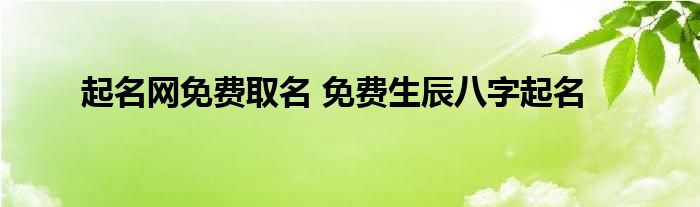 起名网免费取名 免费生辰八字起名