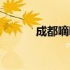 成都嘀嘀打车（成都滴滴快车）