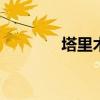 塔里木的意思 塔里木啥意思