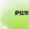萨拉毕加索（萨拉毕加索参数）