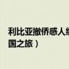 利比亚撤侨感人细节（影中纪实：利比亚撤侨亲历者讲述回国之旅）