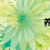 养车团（养车加盟店
