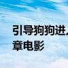 引导狗狗进入自己文章 引导狗狗进入自己文章电影