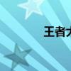 王者大陆官网 王者登陆网站