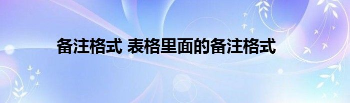 备注格式 表格里面的备注格式