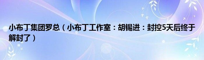 小布丁集团罗总（小布丁工作室：胡锡进：封控5天后终于解封了）