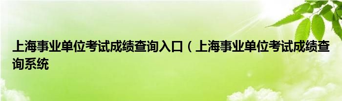 上海事业单位考试成绩查询入口（上海事业单位考试成绩查询系统