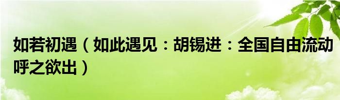 如若初遇（如此遇见：胡锡进：全国自由流动呼之欲出）