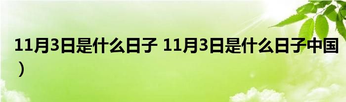 11月3日是什么日子 11月3日是什么日子中国）