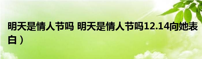 明天是情人节吗 明天是情人节吗12.14向她表白）