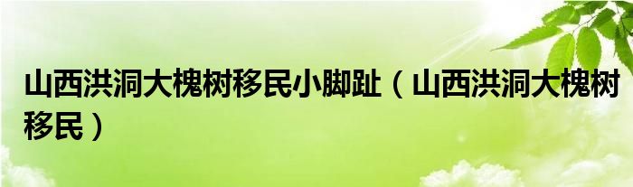 山西洪洞大槐树移民小脚趾（山西洪洞大槐树移民）