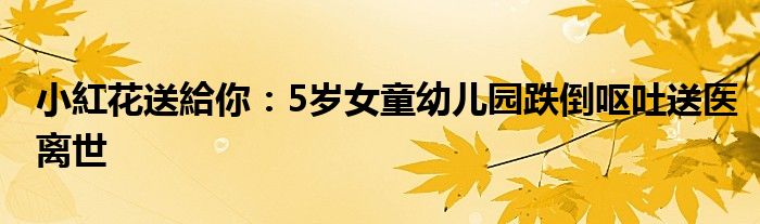 小紅花送給你：5岁女童幼儿园跌倒呕吐送医离世