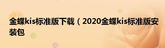 金蝶kis标准版下载（2020金蝶kis标准版安装包