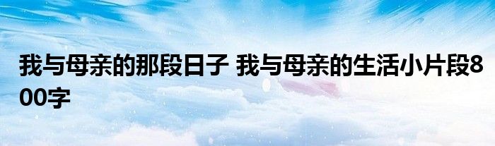 我与母亲的那段日子 我与母亲的生活小片段800字