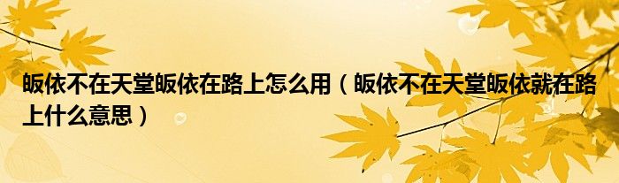 皈依不在天堂皈依在路上怎么用（皈依不在天堂皈依就在路上什么意思）