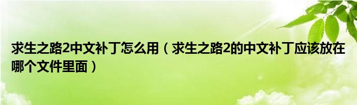 求生之路2中文补丁怎么用（求生之路2的中文补丁应该放在哪个文件里面）