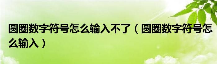 圆圈数字符号怎么输入不了（圆圈数字符号怎么输入）