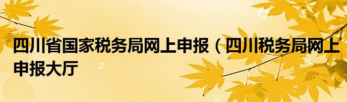 四川省国家税务局网上申报（四川税务局网上申报大厅