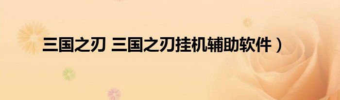 三国之刃 三国之刃挂机辅助软件）