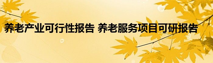 养老产业可行性报告 养老服务项目可研报告