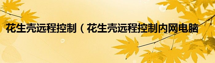 花生壳远程控制（花生壳远程控制内网电脑