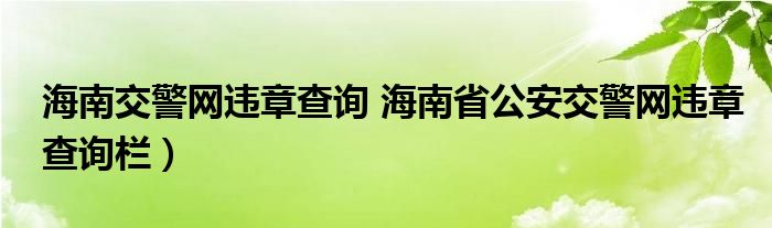 海南交警网违章查询 海南省公安交警网违章查询栏）