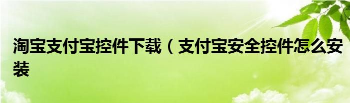 淘宝支付宝控件下载（支付宝安全控件怎么安装