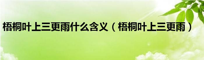 梧桐叶上三更雨什么含义（梧桐叶上三更雨）