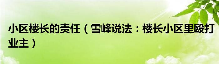 小区楼长的责任（雪峰说法：楼长小区里殴打业主）