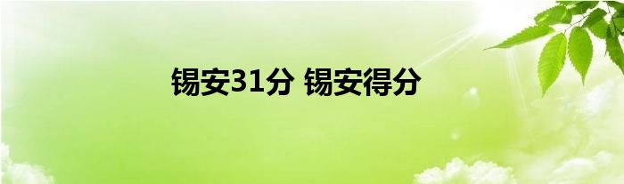 锡安31分 锡安得分