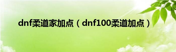 dnf柔道家加点（dnf100柔道加点）