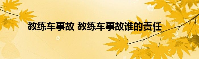 教练车事故 教练车事故谁的责任