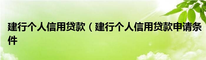 建行个人信用贷款（建行个人信用贷款申请条件