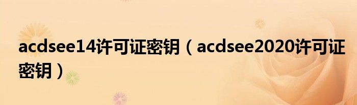 acdsee14许可证密钥（acdsee2020许可证密钥）