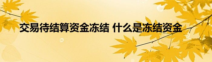 交易待结算资金冻结 什么是冻结资金