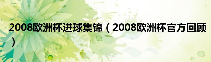 2008欧洲杯进球集锦（2008欧洲杯官方回顾）