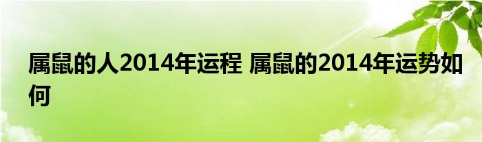 属鼠的人2014年运程 属鼠的2014年运势如何