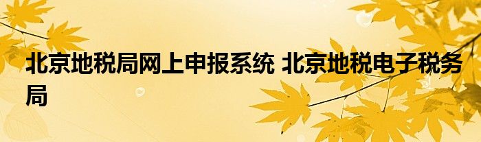 北京地税局网上申报系统 北京地税电子税务局