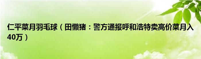 仁平菜月羽毛球（田懒猪：警方通报呼和浩特卖高价菜月入40万）